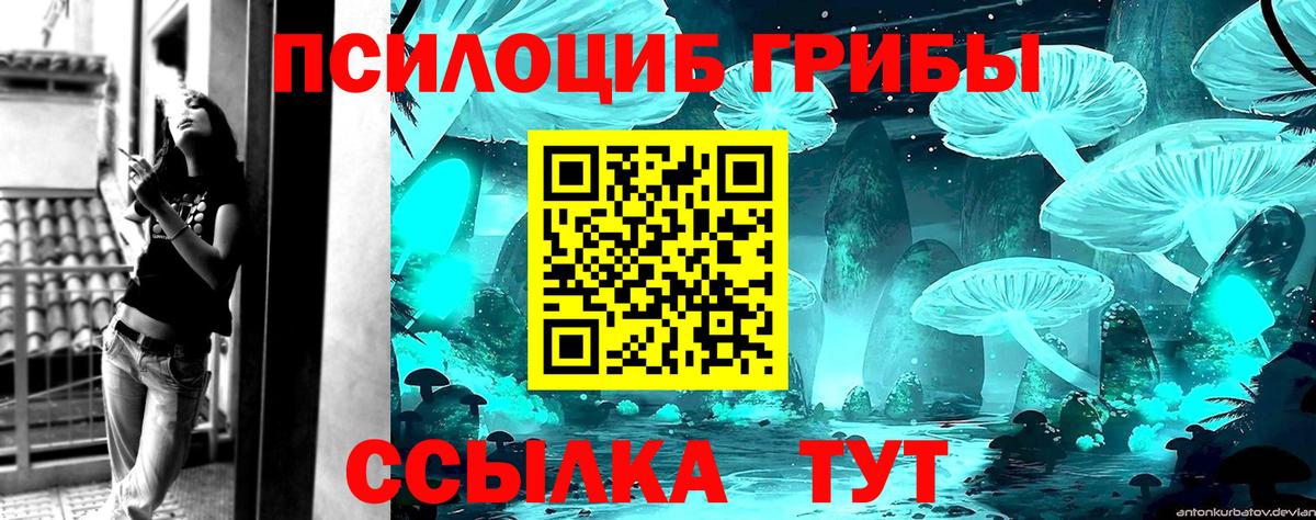 Псилоцибиновые грибы Magic Shrooms  Вход с VPN  Подольск 